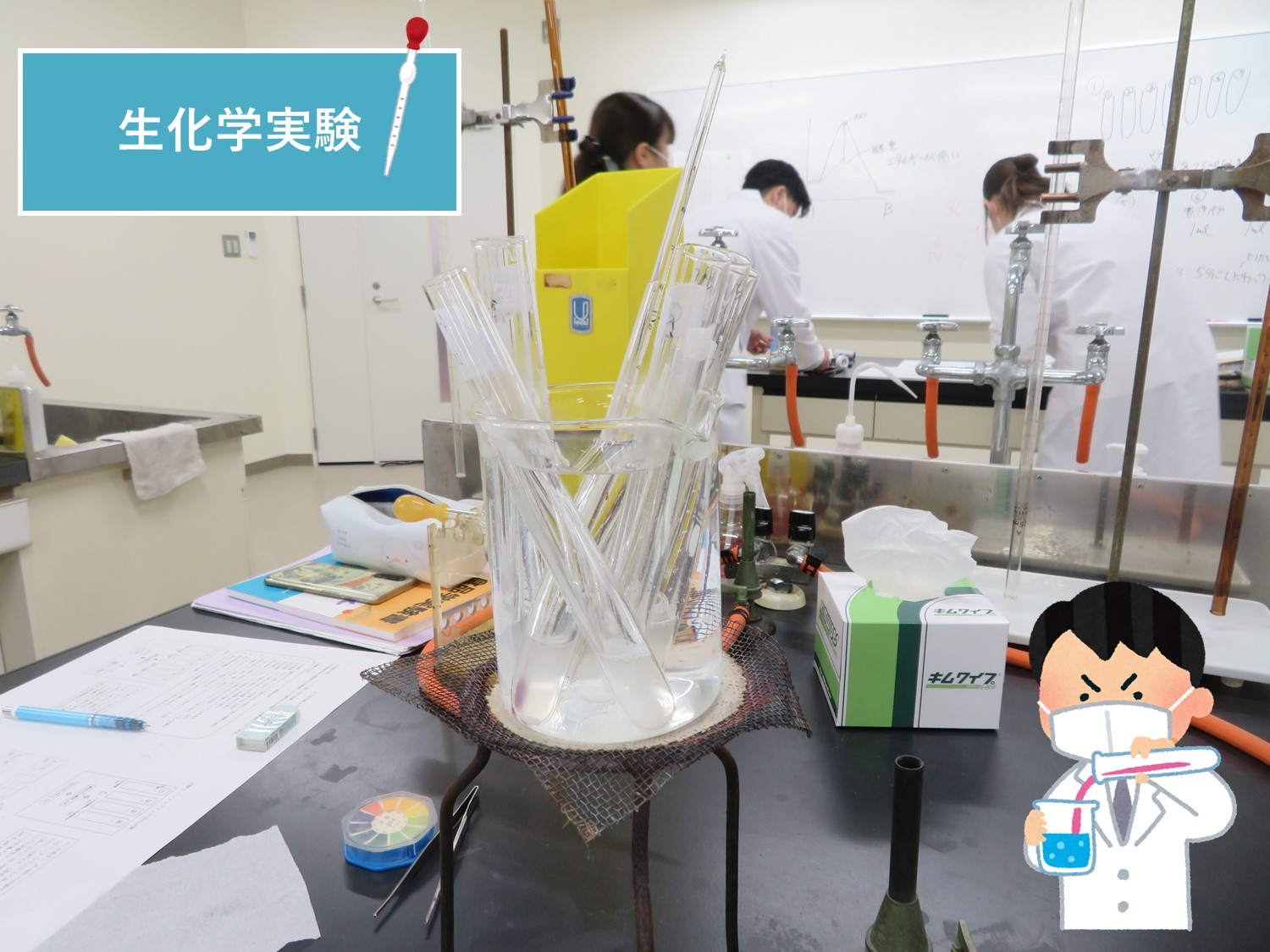 【食物栄養学科】2年生が生化学実験を行いました。