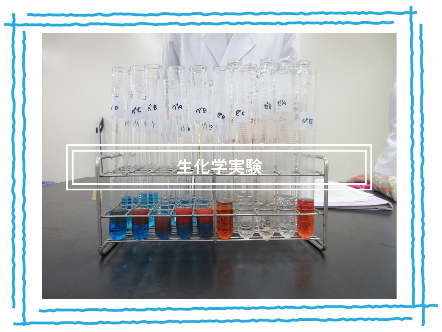 【食物栄養学科】生化学実験で糖の特性を調べました。