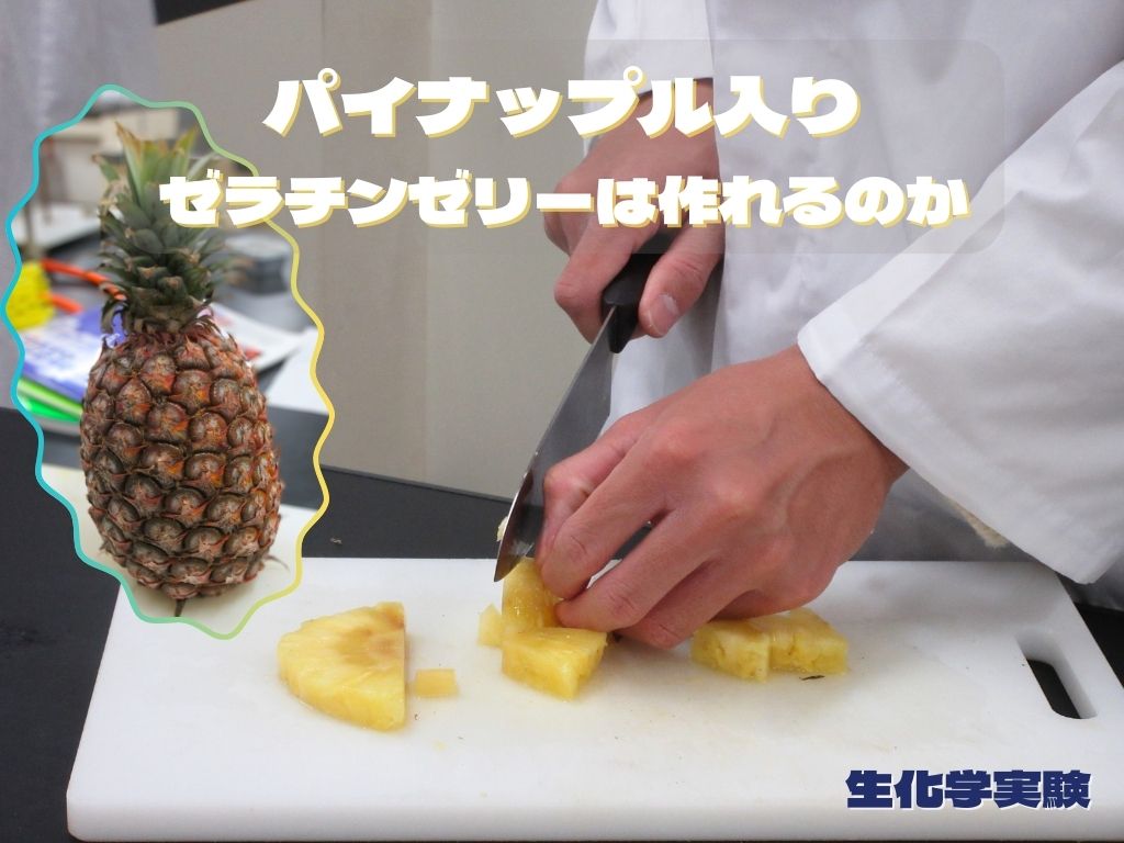 【食物栄養学科】パイナップルを使って実験を行いました